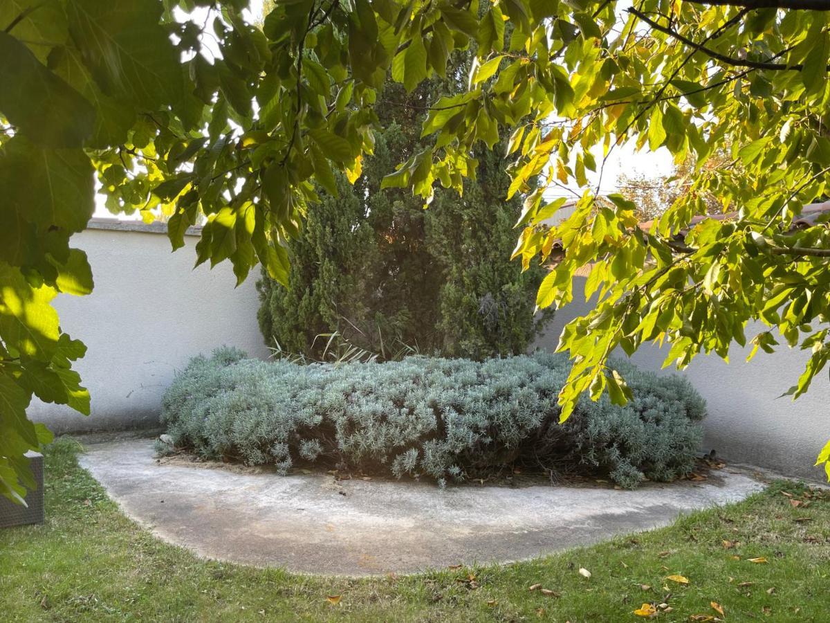 Les Petits Lutins * Entraigues-sur-la-Sorgue