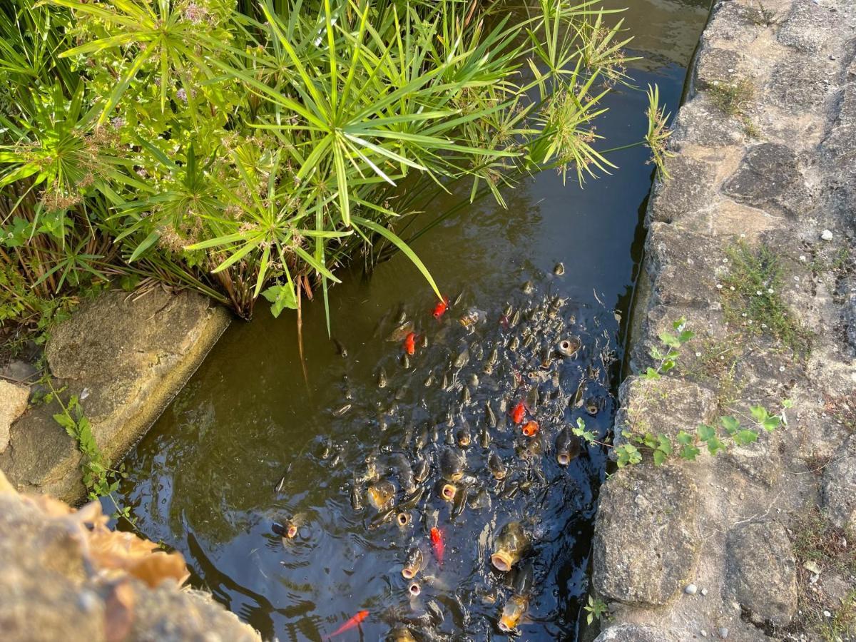 Appartement Les Petits Lutins Entraigues-sur-la-Sorgue